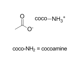 Coco Amine